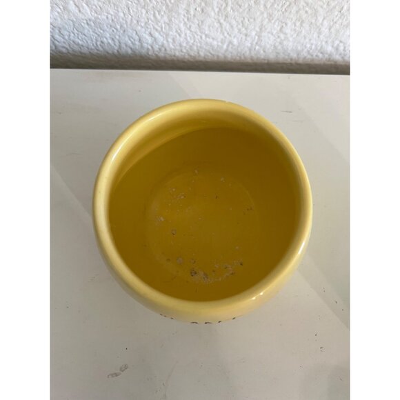 Rae Dunn Artisan Collection Yellow Ceramic Planter "Plant Based" Small Pot - Picture 2 of 3